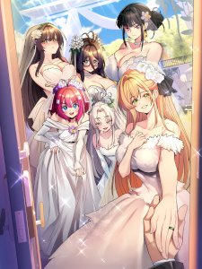 Rented Room Brides Raw